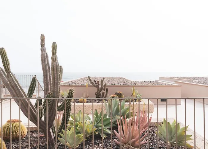 Casa Medano Apartment, In Front Of The Beach
